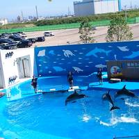 仙台うみの杜水族館&秋保温泉でのんびり夏休み&#127925;