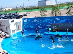 仙台うみの杜水族館&秋保温泉でのんびり夏休み&#127925;