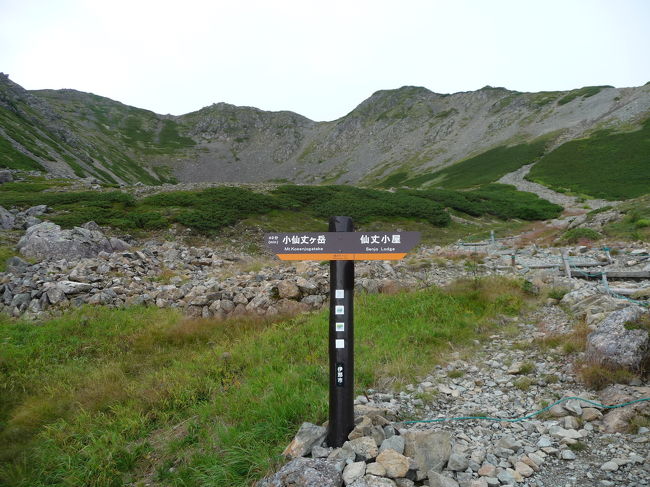 ステップアップのツアーで緑と水が豊かな南アルプス、仙丈ケ岳を登ってきました。<br /><br /><br /><br /><br />山頂からは富士山と北岳の競演、360度の展望を期待し…<br />さてそれはどうなったでしょうか？<br /><br />8/26（金）新宿7:30→双葉SA9:23/9:40→諏訪IC10:15→路線バス乗換11:24→北沢峠12:10→12:30→一合目12:53/12:58→三合目13:46/13:55→四合目14:13/14:19→大滝の頭五合目14:53→トラバ一ス→仙丈藪沢小屋15:27通過→休憩15:38/15:45→馬の背ヒュッテ15:38着→夕食17:04→就寝20:00<br /><br />8/27（土）起床3:30→朝食4:30→集合準備運動5:15→仙丈小屋6:30/6:50→仙丈ヶ岳山頂7:20/7:32→小仙丈ヶ岳8:55→ニ合目11:00→北沢峠11:39→こもれび山荘（カレーランチ）→路線バス→仙流荘（入浴）→中央道→新宿<br /><br /><br />