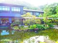 河津温泉郷・今井浜の旅行記