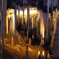 16年1月～サトウキビの島、南大東島ぶらり旅■４気象台・バリバリ岩・大東漁港・星野洞