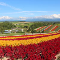 北海道新幹線で北海道へ③