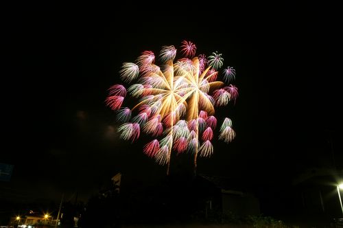 片貝の花火を見に行ってきました』小千谷・川口(新潟県)の旅行記