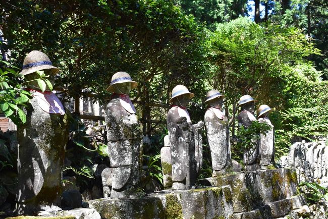 2017年のNHK大河ドラマは、龍潭寺(りょうたんじ)ゆかりの井伊家の当主「井伊直虎」の生涯を描く「おんな城主 直虎」に決まりました。<br /><br />奥浜名湖の引佐町井伊谷(いなさちょう いいのや)に龍潭寺があり、大河ドラマ放送前にもかかわらず、訪れる人が増え始めています。<br />龍潭寺は井伊家の菩提寺であり、江戸初期に造られた池泉鑑賞式庭園、左甚五郎作と伝えられる竜の彫刻、うぐいす張りの廊下などが見どころです。<br /><br />井伊直虎は、戦国時代から安土桃山時代にかけての遠江井伊谷の女領主です。その経緯は井伊家の家中を支えるものが次々と戦死していき、井伊家を守るため直虎が当主となりました。<br /><br />そして、奥山軽便鉄道が井伊谷を通っていたことを現地の案内地図で知り、道路に変わった線路跡を歩いてみると、当時の橋脚を見つけることができました。<br />軽便鉄道は、大正時代から昭和39年(1964)まで元城(浜松駅の北側)・奥山間を走り、沿線住民や奥山半僧坊への参拝者の足、竜ヶ岩洞からの石灰石輸送として活躍しました。<br />