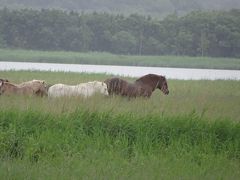 道東三湖をぐるぐるっと周遊　その２