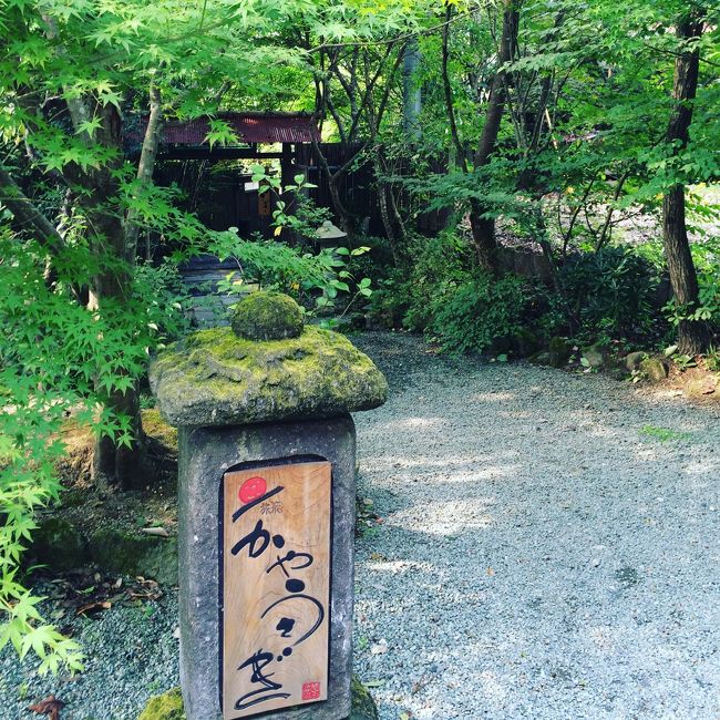 九州復興割クーポンを獲得して、初秋の大分県日田市の温泉へ行ってきました。<br />日田市は福岡市から高速道路経由で約1時間程。<br />いつもは「ゆめ山水」というコイン式の家族湯を利用し、豆田町の「千屋」で日田まぶしを食べる日帰りプチ旅行をよくします。<br /><br />ゆめ山水と同じ敷地内にある「旅籠かやうさぎ」というお宿が評判が良く、いつか泊まりたいと思っていたところの九州復興割でした。<br />土曜日はほとんど空室が無い人気宿で、1番低ランクの母屋客室Bがやっととれました。<br />1泊2食付2名計42420円から、復興割クーポンで14000円引き。<br />そこから更に楽天トラベルポイントを使い、総計26720円となりました。<br />14日前早期予約特典で、冷蔵きフリードリンク付きでした。<br /><br /><br />温泉はゆめ山水と同じで無味無臭のとろみがある泉質でお肌ツルツル。<br />緑と川に囲まれて静かな、大正レトロな雰囲気の素敵なお宿でした。<br /><br /><br /><br />鮎やな、豆田町の出来たておはぎ、日田焼きそばも堪能してきましたよ♪<br /><br /><br /><br />『旅籠かやうさぎ』<br />http://www.kayausagi.jp/<br /><br />『ゆめ山水』<br />http://www.kotohira-onsen.com/kazoku/kazoku.html<br /><br /><br />