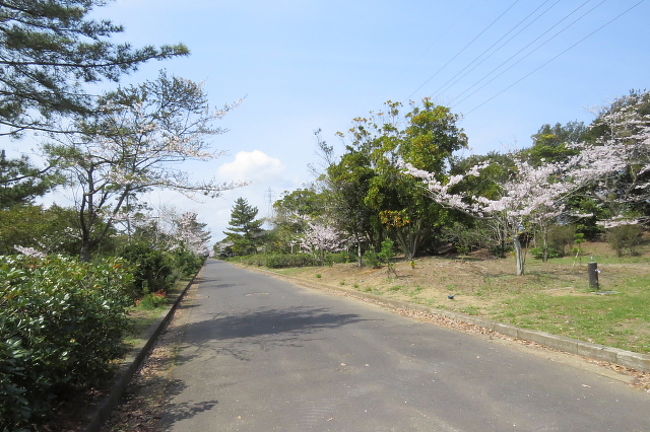 神栖市の若松緑地で花見を楽しんだ後、太田でバードウォッチングを楽しみました。<br /><br />表紙写真は、神栖市の若松緑地の風景です。