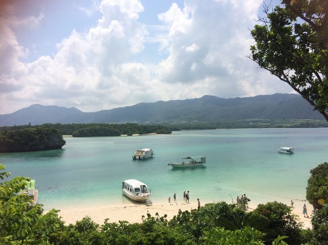 夏休みを利用して石垣島に行ってきました。<br />航空券、ホテル、レストランだけ予約したゆるい旅行。<br />全て個人手配です。<br /><br />9/2(金)ANA091 11:15羽田→14:10石垣<br />9/3(土)石垣島をドライブ<br />9/4(日)竹富島観光<br />9/5(月)ANA092 14:55石垣→17:50羽田<br /><br />宿泊先　ANAインターコンチネンタル石垣リゾート