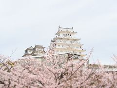 春の京都・姫路への旅～後編／姫路編～