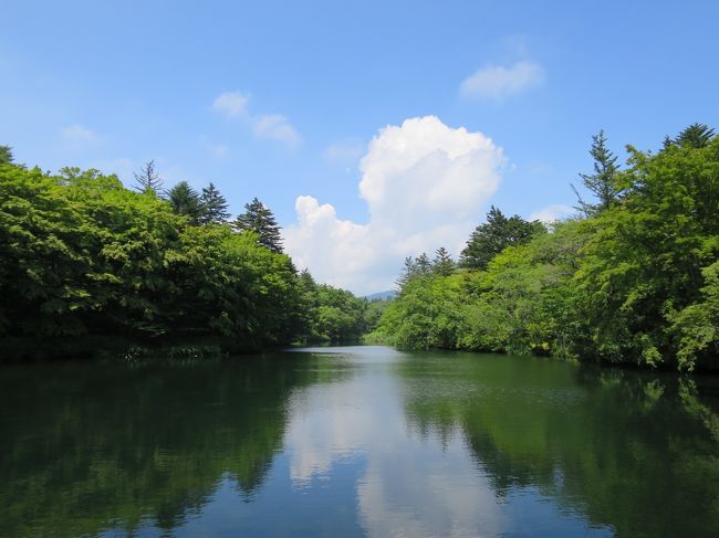 今回の旅のメインである軽井沢。避暑地というくらいだし、爽やかな青空を期待して予定を立てていたのですが、旅行前に文字通り雲行きが怪しくなってきました。天気予報とにらめっこしても、もちろん天気は変わらないのですが、想いが通じたのか晴れたぁ＼(^O^)／<br /><br />かなりの遅筆旅行記のはじまりはじまり～