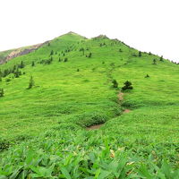 のんびり縦走　四阿山～根子岳