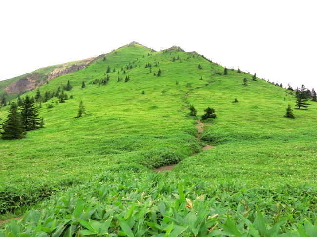 のんびり縦走　四阿山～根子岳