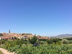 バスクへの旅、再び③　リオハ　ワイン好きの天国