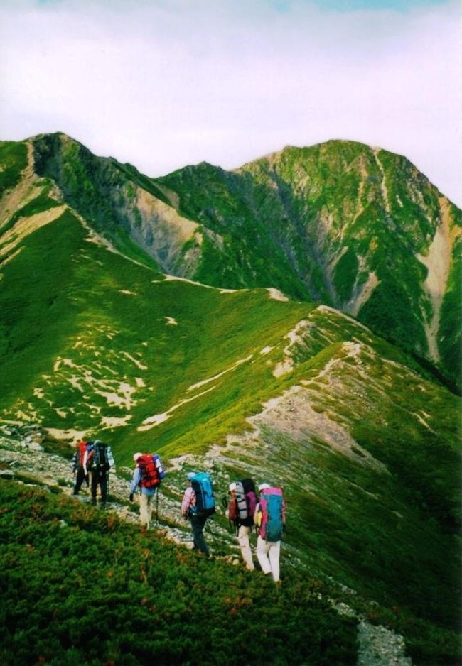 写真は北荒川岳近くのテント場を出て、左に富士山を遠望しながら塩見岳への登り。<br /><br />６月末に考えもしなかったヘルニアを患い、未だ歩行が困難で大好きな旅や登山ができず悶々としているなか、ふと思いだして、写真に興味がなく、ただ山歩きだけを楽しんでいた頃の記録を振り返ってみると、同行者が撮ってくれた写真が何枚か出てきたのと自分が撮った数少ない写真で思い出のブログを作成してみました。<br /><br /> 思い出の山旅ー<br />1.金精峠から温泉岳・根名草・手白沢温泉（泊）・女夫渕・川俣・鬼怒川温泉を歩く<br />2.雪の谷川岳西黒尾根を登る<br />3.所属の山の会で一年に一回の山に感謝の青梅渓谷で感謝祭<br />4.鹿島槍ヶ岳元日登頂を目指して<br />5.西穂高岳元日登頂に向けて偵察山行<br />6.西穂高岳元日登頂成功の喜び<br />7.北ア・裏銀座コースを高山植物を愛でながらテント泊で歩く<br />8.冬山訓練で谷川岳積雪期登頂<br />9.新緑とミツバツツジ咲く両神山へ登る<br />10.過酷な南アルプスの白鳳三山を歩いた思い出<br /><br />この頃、1960年代は、健康スポーツでも出来るだけ水分を摂ってはだめと、しかも南アルプスは水場も少なく、炊飯用の水を確保するのが縦走では最重要の要件でした。今、考えるとキスリングやザックの肩ベルトにしめ付けられて、両手がパンパンに腫れ、赤ちゃんの手のようになる状態になると考えられていたが、1900年代後半のある時から、スポーツ医学では水分はしっかり摂るように指導されたら赤ちゃんの手のようになったことが無くなり、手の腫れの原因がわかりました。そんな経緯がはっきり出たのがこの山行でした。長い縦走路で炎天下の中大きなキスリングでテントから炊飯道具（今のようにレトルト食品もなく）から米や野菜と、大変な重量でした。そんな状況で写真の撮る余裕がなく少ない枚数でしたので今までアップしませんでしたが、現在、足の痛みから登山が出来ないので、過去の写真を整理していて当時を思い出しながら整理をしてみました。<br /><br />