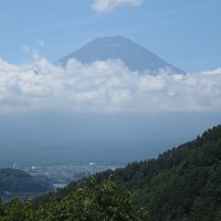 2016年7月　相模原と山梨の旅