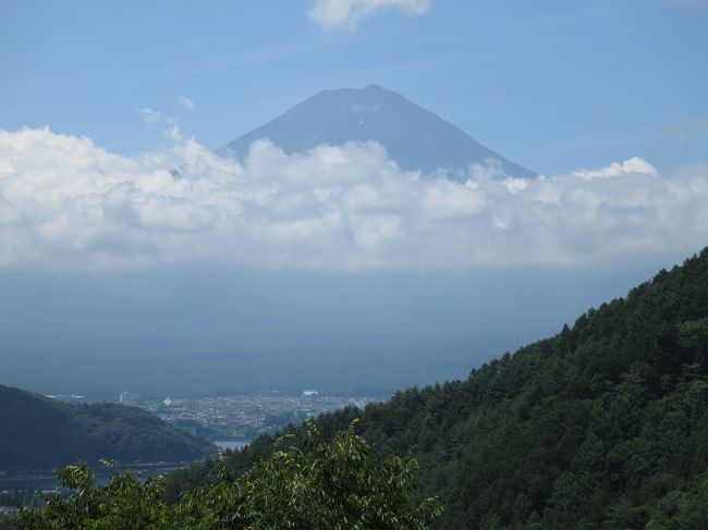 海の日の三連休のこと。<br />せっかくの休みだしとお出かけしました。<br />7月は私の誕生月なので、会員登録してある色んな施設で優待が受けられる。<br />その中のどれかに行こう。<br />特に行きたいと思っていたのが、富士裾野にある遊園地「ぐりんぱ」です。<br />子供達のお気に入り。<br />私が一番気に入っているかも。<br />大好きな富士山が近いし、人が少なめなのも良い。<br />遊園地の類いは値段が高いから、優待でも無いと行かないし。<br />ぐりんぱで遊んで、富士五湖辺りの宿に泊まって、山梨で桃狩りして帰るという旅行計画を立てました。<br />しかし、三連休の天気予報はどうもイマイチ。<br />しかもぐりんぱは標高が高いので、ふもとは晴れてても現地は悪天候ということもありうる。<br />雨だとあらゆるアトラクションが休止になるし、晴れても前日の天気が悪かった場合、ちゃんと乾いてないアスレチックなどは利用中止になるし、遊園地に行く際に天候はとっても重要です。<br />天気予報とにらめっこして、連休初日は行かない方が良さそうだと判断し、二日目に行くことにしました。<br />が、二日目も園内濡れているらしく、朝の時点で運行するかどうか未定のアトラクションがいくつもありました。<br />ホームページの運行情報を確認しただけではよく分からなかったから、電話までして問い合わせしてしまったわ。<br />わざわざ行って遊べなかったらつまらない。<br />どうやらもっといい天気の時の方が良さそうな感じで、ぐりんぱに行くのはやめ。<br />宿は取ってあるし、どこかそっち方面の別の所に行くことにしました。<br />子供達にどこに行きたいか聞いたら、相模湖の遊園地という答え。<br />確かに経営が同じだから似てるのよね。<br />ここも誕生月優待があるし。<br />そんなわけで、相模湖の遊園地に行くことになりました。