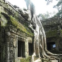 【振り返り】アンコールワット　主要遺跡しか巡ってない控えめな旅