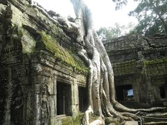 【振り返り】アンコールワット　主要遺跡しか巡ってない控えめな旅