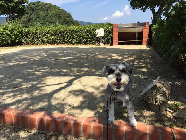 ワンコと一緒！南あわじで釣りキャンプ♪