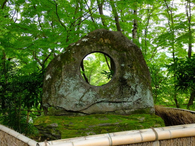本日は、朝から友人よりLineが入り<br />山崎の妙喜庵に行こうとお誘いがありました<br />妙喜庵は予約が必要なので私は今まで行かなかったのですが<br />二人で予約した所もう一人が急に行けなくなり<br />私にお声がかかってきました。<br />枚方大橋まわりでJR高槻駅から山崎駅へ向かい<br />「妙喜庵」と「アサヒビール大山崎山荘美術館」を歩いてきました。<br /><br />追伸<br />サッポロビール大山崎山荘美術館と表記していましたが<br />アサヒビール大山崎山荘美術館が正解でした。<br />ご指摘があり私が完全に勘違いしていました。<br />修正してお詫びいたします。大変失礼しました。