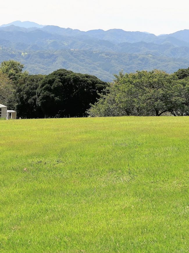 「マザー牧場」は、千葉県富津市田倉、鹿野山の隣の鬼泪山(きなだやま)の山頂付近に位置する、牧場のテーマパーク。<br /><br />広い園内には牧畜が多種(牛、馬、ヤギ、羊、豚、アヒル、ダチョウ、ラマ、アルパカ等)飼育され、触れ合いを売りにする。約150頭の羊の群れを牧羊犬が誘導する「ひつじの大行進」、羊の毛刈りで有名なシープショーが見られるアグロドーム、東京湾を一望可能な観覧車を擁する遊園地『わくわくランド』、高さ21メートルのバンジータワー、マザー牧場オリジナルの乳製品やハム、ソーセージなどを扱った土産物店、ジンギスカン鍋レストラン、いちご狩り、ブルーベリー狩り、フルーツトマト狩りが楽しめるフルーツ農園、長期滞在も出来る宿泊コテージなどがある。<br />(フリー百科事典『ウィキペディア(Wikipedia)』より引用)<br /><br />マザー牧場 については・・<br />http://www.motherfarm.co.jp/