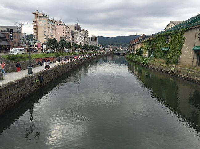 8年ぶりの北海道。<br />4日間お世話になったお友達とお別れして、今日は小樽に1泊です。<br /><br />宿泊 小樽ふる川 1泊2食付き 15800円<br />(シングルルーム利用)