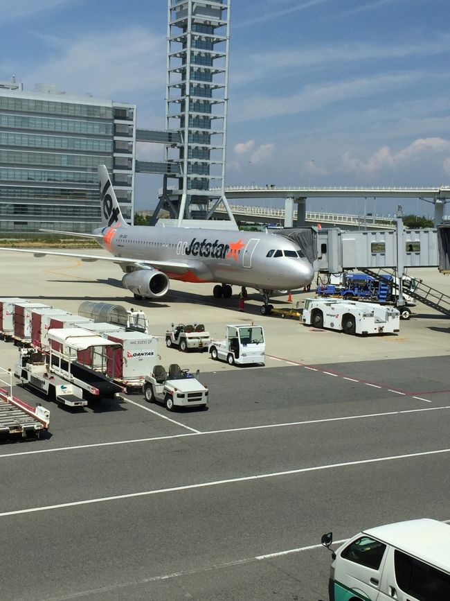 １日目　関空（ジェットスター）→桃園（空港空港バス）→ホテル→台北駅→京鼎楼→饒河街夜市<br /><br />２日目　台北駅（新幹線）→高雄→台南→台北→カルフール<br /><br />３日目　世界豆漿大王 →台湾シャンプー→迪化街→?・豆蒜??軌 （マンゴかき氷）→九?囲→基隆廟口夜市→足裏マッサージ<br /><br />４日目　劉媽媽飯? →微熱山丘→楽天皇朝→四四南村→１０１<br /><br />５日目　姜太太包子店→桃園空港→関空<br /><br /><br />２年前の台湾で食べた美味しい物が忘れられず　よしいくぞぉ〜！！！と前回の仲間を招集<br />夫に私・妹今回は姪も加わり　若さ＆華やかさUP（●＾o＾●）<br /><br />初めてのLCCで　機内食も無く　映画も無く　ちょっと寂しい機中でしたが　値段の安さには勝てません　<br />思ったほど座席も狭くなく　十分満足<br /><br /><br /><br />