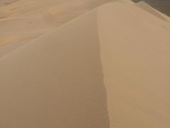 ★最も砂漠らしい景色が広がるホンゴル砂丘へ