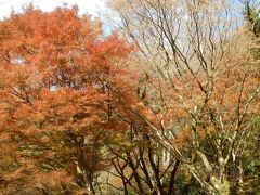 天照山ハイキングと観紅葉