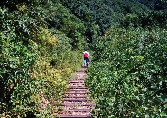 関西随一の人気の渓谷沿い鉄道廃線跡をｊｒが整備 西宮 芦屋 兵庫県 の旅行記 ブログ By マローズさん フォートラベル