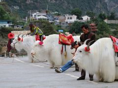 ５年ぶりの中国、驚きと感動の連続の成都～九寨溝、黄龍の旅Ⅰ（成都～九寨溝）