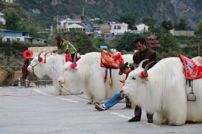 ５年ぶりの中国、驚きと感動の連続の成都～九寨溝、黄龍の旅Ⅰ（成都～九寨溝）