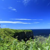 絶景と食を求めて夏の道東めぐり　（４）女満別のひまわり畑と能取岬の紺瑠璃の海