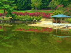 ちいさい秋みぃつけたぁ～♪　愛・地球博公園を歩く♪