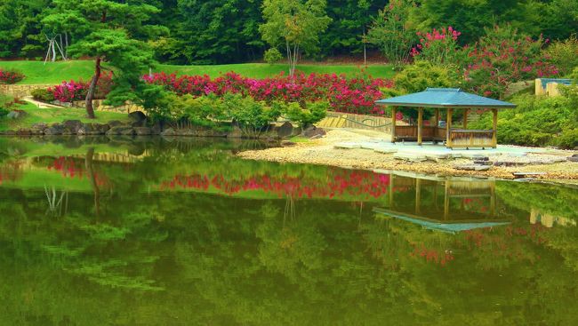 愛・地球博記念公園は、２００５年に開催された、日本国際博覧会（愛・地球博）の長久手会場の跡地に開設された愛知県最大級の大型公園です。<br /><br />万博公式キャラクターのモリゾーとキッコロにちなみ、「モリコロパーク」とも呼ばれています。<br /><br />通称モリコロ、何回か孫たちと遊びに行った思い出の公園ですが、ゆっくり写真撮ってみたいので、一人で行ってきました。<br />公園内は広くて、朝から夕方までいても、全部回りきれるかどうかですが、まだ歩いていないゾーンもあって、新しい発見がありました。