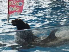 大洗おう松亭(市町村職員共済組合保養所）でのんびり太平洋を眺める☆大洗水族館とめんたいパーク、なめがたファーマーズビレッジで焼き芋について学習