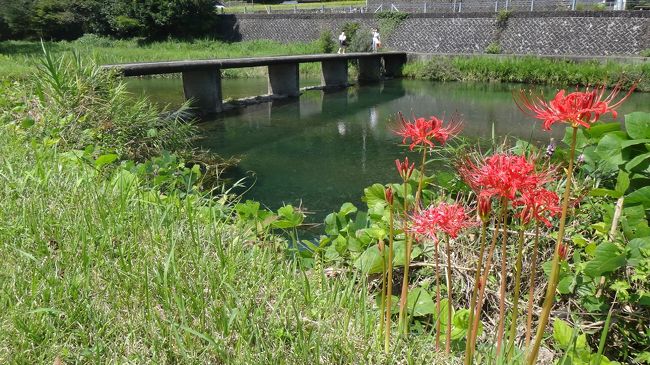 四万十川の中流域はうろうろしているが、源流地点には立ったことがない。<br />一度、母なる四万十の生まれ出る姿を見ておきたいと思っていた。<br /><br />源流から次第に成長していく川の姿が見れたらとも思う。<br />さらに窪川より上流でカヤックで下れそうなところもウオッチするという目論見もあるが・・・<br /><br />さてどうなりますやら・・・・<br />