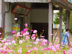 北海道で夏の鉄路へ　18きっぷで乗りたおす・札沼線と留萌本線　(5)新十津川〜鶴沼経由の浦臼まで