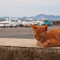 瀬戸内島めぐり02 瀬戸芸中休みの豊島