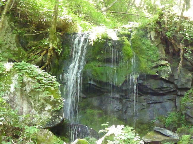 7月25日-8月25日、恒例の避暑バカンス♪<br />前半は晴れが多く、後半は雨が多いという変な天気でした。<br />ゆったりと避暑バカンスをしながら、<br />観光・グルメをたっぷりと楽しんできました♪<br /><br />☆Ｖｏｌ１８：嬬恋村♪<br />鹿沢温泉と湯の丸高原の間に「たまだれの滝」がある。<br />山合いの美しい場所にあり、<br />小川に沿って深い谷を歩く。<br />その奥に「たまだれの滝」。<br />非常に水量は少なく、ちょろちょろと滝が落ちている。<br />滝つぼはなく、右手の斜面が崩落したと思われる土砂が埋め尽くしている。<br />その崩落した斜面にはたくさんの水が湧き出ている。<br />おそらく滝も上流の小川からではなく、湧き出ているものとみえる。<br />全体に美しい風景であるが、<br />ちょっと拍子抜け。<br />でも、緑濃い森林のため、森林浴はできる。<br />ゆったりと眺めて♪