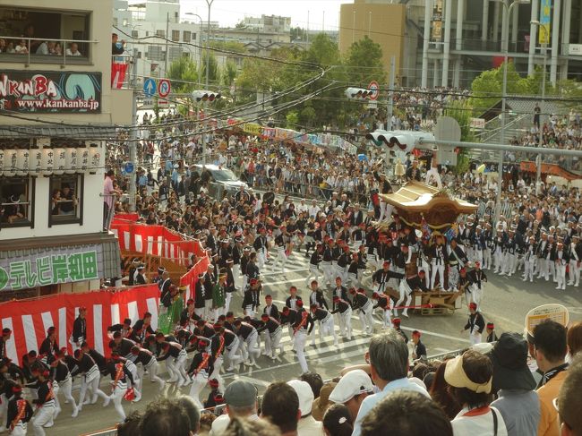 だんじり祭へ。<br />観賞席にて観賞。