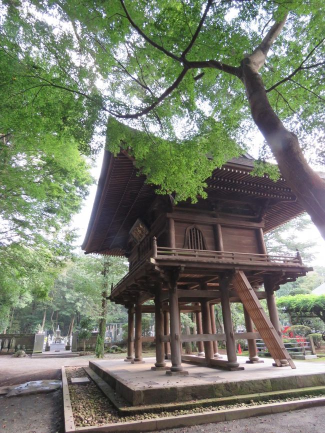 9月25日、午後3時頃に久しぶりに多福寺等を訪問した。 このところ秋雨前線の影響で晴天がなかったが久しぶりに晴天に恵まれたので彼岸花等の初秋の風景を見るために自転車で自宅より約5キロ離れている多福寺、多聞院等を訪問した。<br /><br />彼岸花はいたるところで見ることが出来て初秋を感じた。<br /><br /><br />*写真は多福寺の呑天閣・・・未だ青々とした紅葉が見られた。