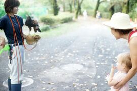 Japan　トーニャの休日（2-2）　ベリーコテージと羽村市動物公園