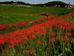 ごんぎつねの里（半田）