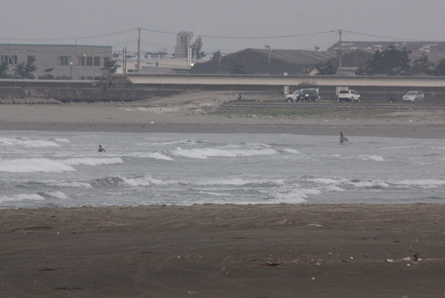 鹿嶋市平井浜でコアジサシが営巣しているとの情報を戴き、見に行ってきました。<br /><br />表紙写真は、平井海岸の風景です。<br />