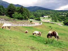 １０．夏の大泉高原 八ヶ岳ロイヤルホテル１泊　山梨県立八ヶ岳牧場 まきば公園　生長の家国際本部