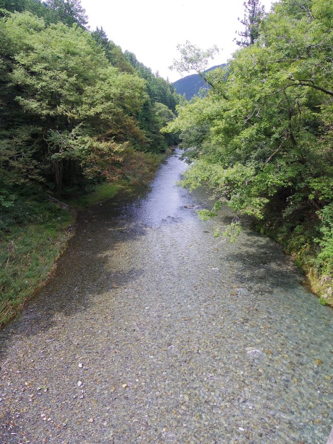 去年行ってすごく良かった秋川渓谷の瀬音の湯、今年も家族で行ってきました。同じ東京都だけど、贅沢にも2泊！週末は高い＆混んでいるので、有休2日使って日―火曜日まで。川遊びをしたり、のんびり大自然の中を散歩したり、子供中心ののんびり旅行でした。帰りは八王子のキドキドに立ち寄り。