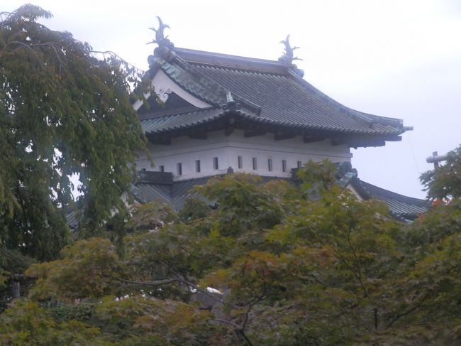 新潟から青森まで車を走らせ11時間、途中、仙台、小岩井農場まきば園に寄りながら800キロ<br />弘前城の城、ねぶた、桜、を見学に東北3県目です。