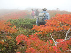 紅葉の栗駒山へ　お手軽須川コースから（1日目）