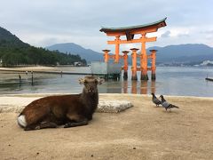 中国四国一周旅行　4日目　宮島&#12316;しまなみ海道&#12316;今治&#12316;道後温泉